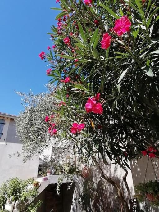 La Chamade Maison De Village Climatisee Lapalud Exteriér fotografie